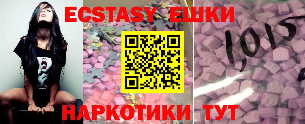 ОМГ ОМГ маркетплейс  Вход с VPN  Заводоуковск  Ecstasy 280 MDMA  Ecstasy TESLA 